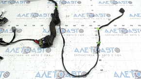 Ford Edge 19-24 keyless front left door wiring