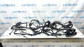 Underhood wiring with fuse box Toyota Prius 50 Prime 17-22 connectors cut along the front