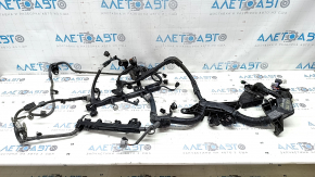Toyota Prius 50 Prime 17-22 Engine Wiring