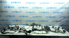 Wiring under the hood Ford Escape MK4 23-26 1.5 FWD