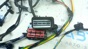 Wiring under the hood Ford Escape MK4 23-26 1.5 FWD