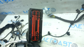 Wiring under the hood Ford Escape MK4 23-26 1.5 FWD