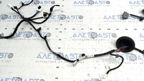 Wiring for the rear left door of the Infiniti QX50 19-25