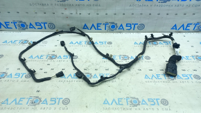 Ford Escape MK4 23- Radiator Panel TV Wiring