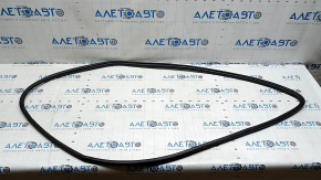 Front left door seal Toyota Camry v70 18-24, tear