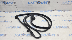 Lexus RX350 RX450h Front Left Door Seal 16-22