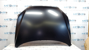Naked hood VW Passat b7 12-15 USA
