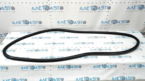 Front left door opening seal BMW X5 G05 19-26 worn