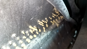 Bare rear right door of Audi Q5 80A 19-25 black LY9B, with a limiter and a limiter boot, after repair, the paint has swelled, the limiter insert is scrolling