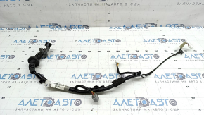 Rear left door wiring Honda Accord 18-22