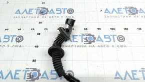 Rear left door wiring Honda Accord 18-22