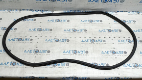 Front right door seal Audi A3 22-26 tear