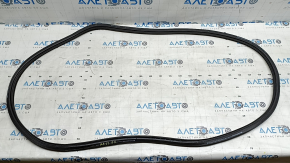 Front right door seal Audi A3 22-26 tear