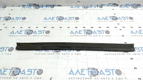 Honda Accord 21-22 lower rear right door seal