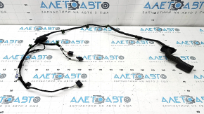 Rear right door wiring VW Taos 22-25