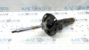 Front right shock absorber Honda Accord 18-22 rusty