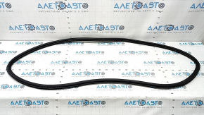 Rear left door opening seal VW Taos 22-25