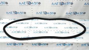 Rear left door opening seal VW Taos 22-25