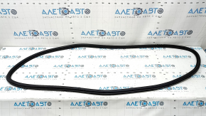 Front left door seal VW Taos 22-25 worn