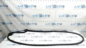 Rear left door seal Nissan Murano 25-26