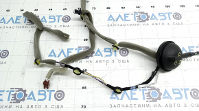 Wiring for the rear left door of a Nissan Murano 25-26 Platinum