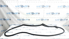 Rear right door seal Nissan Murano 25-26