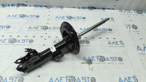 Front left shock absorber Toyota Camry v50 13-14 usa LE