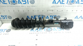 Shock absorber strut assembly front left Nissan Kicks 21-24 SR, SV
