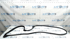 Rear left door seal Toyota Highlander 20-