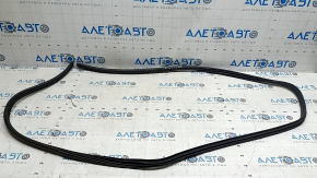 Rear left door opening seal Nissan Kicks 18-24