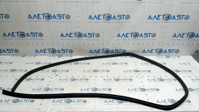 Rear right door opening seal Nissan Kicks 18-24