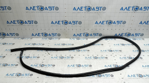 Rear right door opening seal Nissan Kicks 18-24