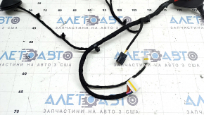 Wiring for the front left door of the Kia Sportage 23-26