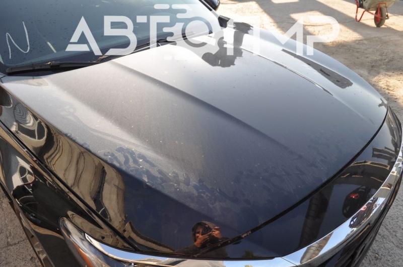 Bare hood of a 1922 Honda Accord