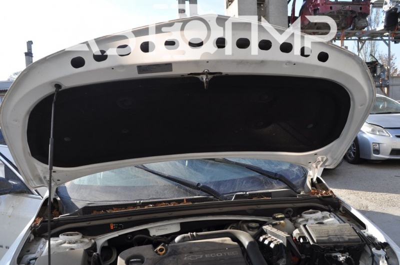 The bare hood of a 1920 Chevrolet Malibu