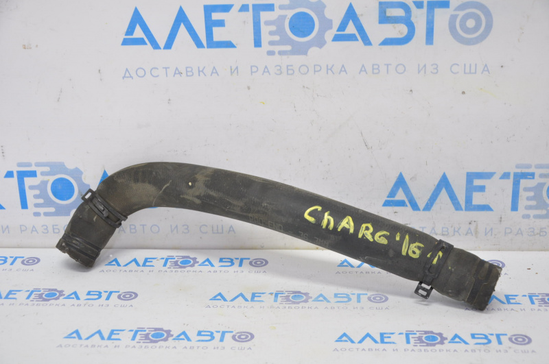 Upper Cooling Hose Dodge Charger 11-23 3.6