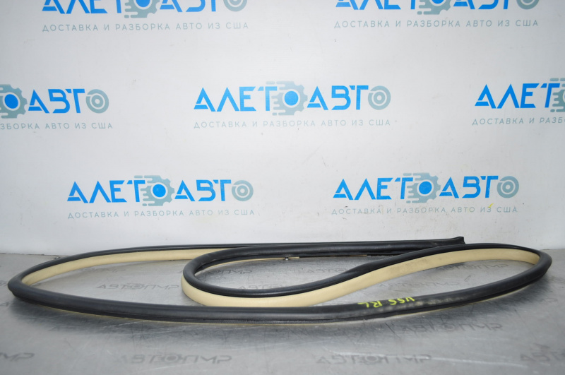 Door seal rear left Toyota Camry v55 15-17 usa beige