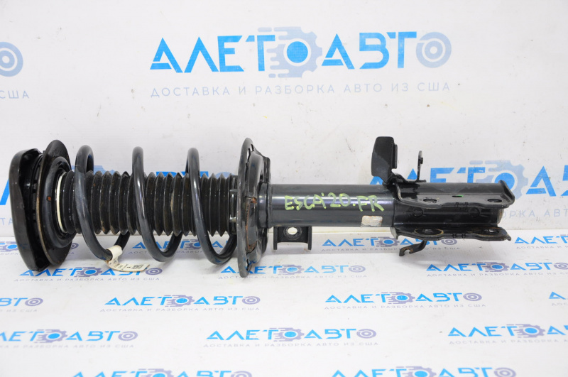 Shock absorber strut assembly front right Ford Escape MK4 20-24 1.5T FWD