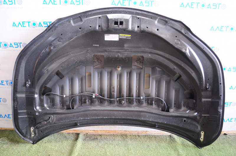 Hood bare Lexus RX350 RX450h 16-22 black 223