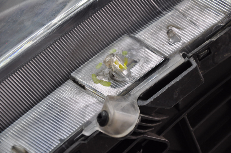 Headlight front left bare Hyundai Sonata 15-17 halogen without fastening, cracks on fastenings