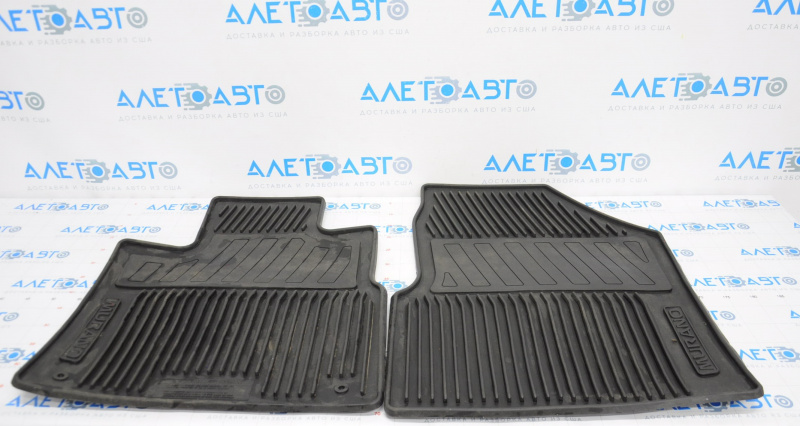 Set of floor mats for Nissan Murano z52 15-18 rubber, black