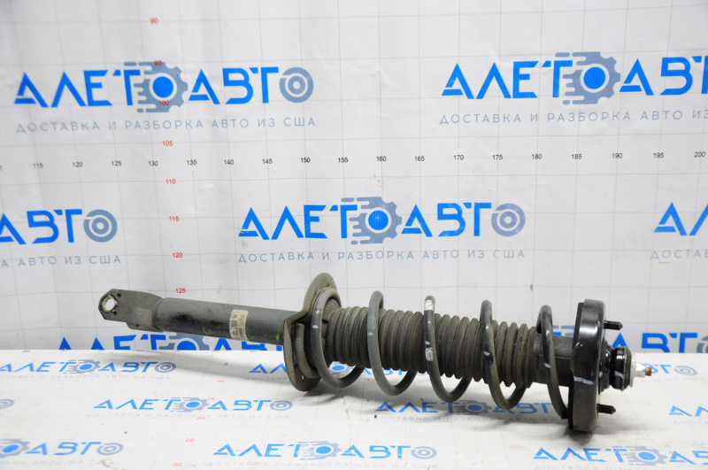Shock absorber strut assembly rear left Acura TLX 15-18 3.5