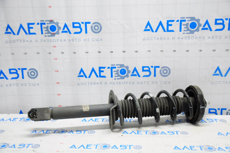 Shock absorber strut assembly rear left Acura TLX 15-18 3.5
