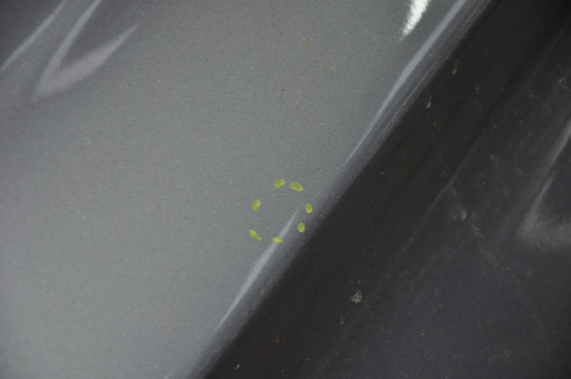 Quarter wing rear right Hyundai Sonata 11-12 graphite, small bumps