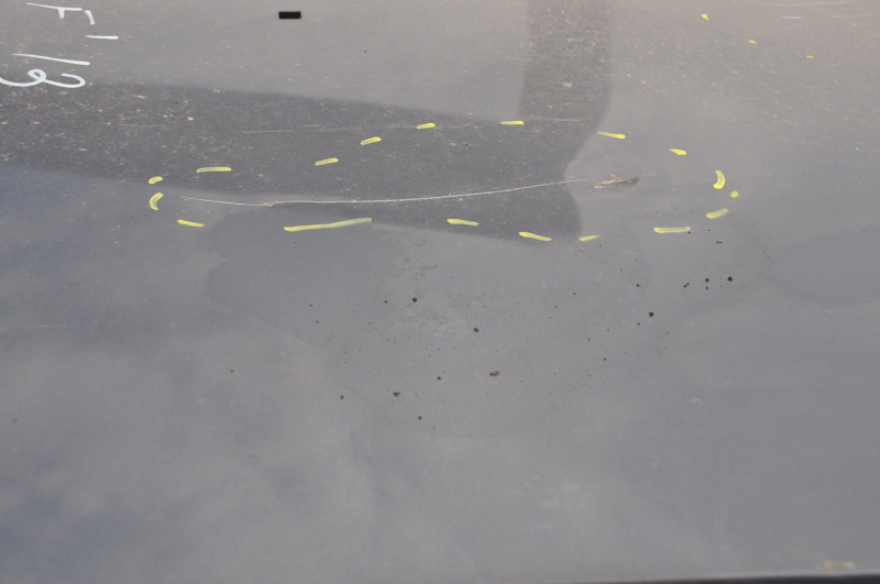 Metal roof Nissan Leaf 11-17 on the body, dented, bumps