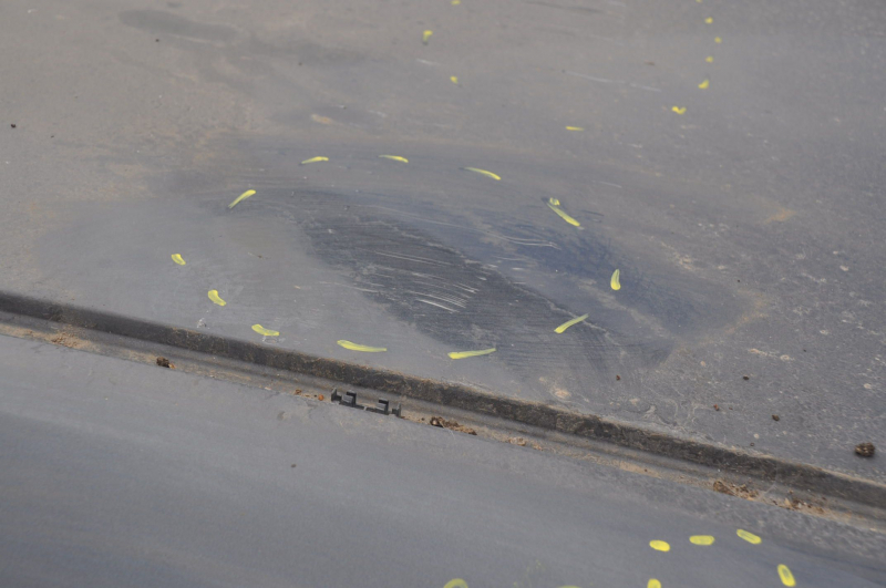 Metal roof Nissan Leaf 11-17 on the body, dented, bumps