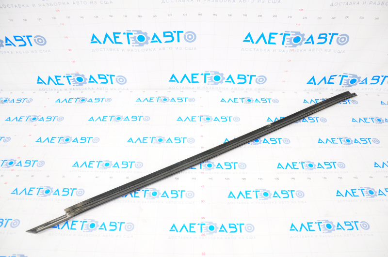 Door-glass molding, center, front left, Dodge Challenger 2009-23, matte