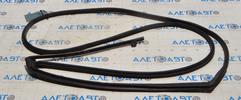 Kia Sorento 10-15 rear left door seal
