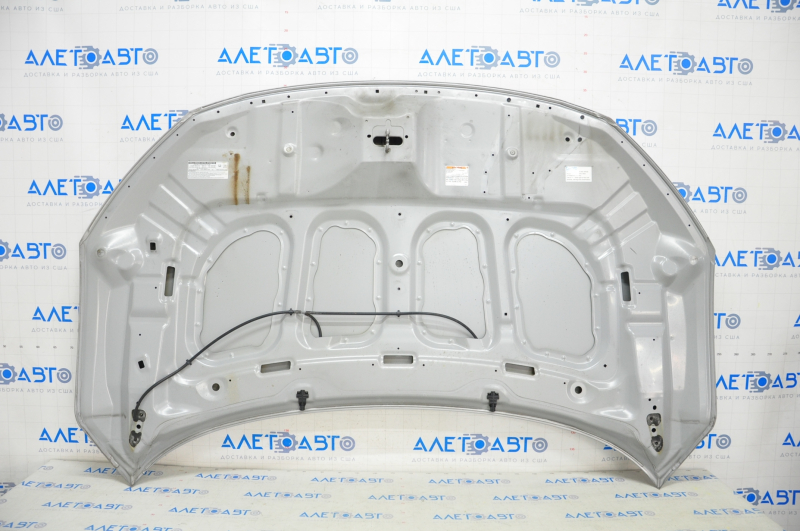Hood bare Honda Civic X FC 16-21 silver NH830M, pokes