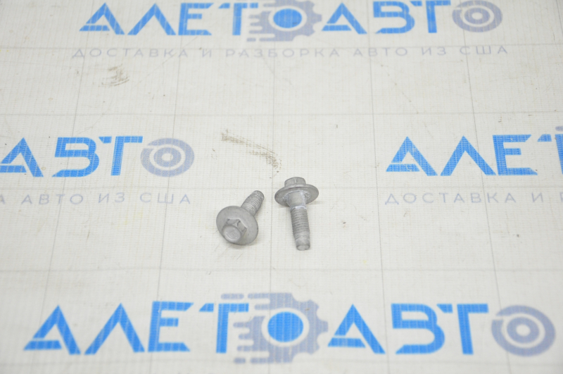 Bolts for the hinge of the lower door of the front right 2 pcs. Chevrolet Volt 16- on the door
